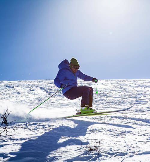 Les 2 Alpes Skiing